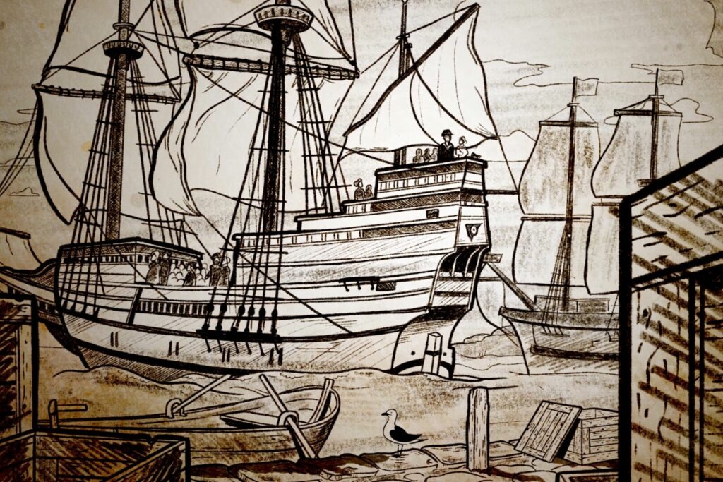 Mayflower Illustration
