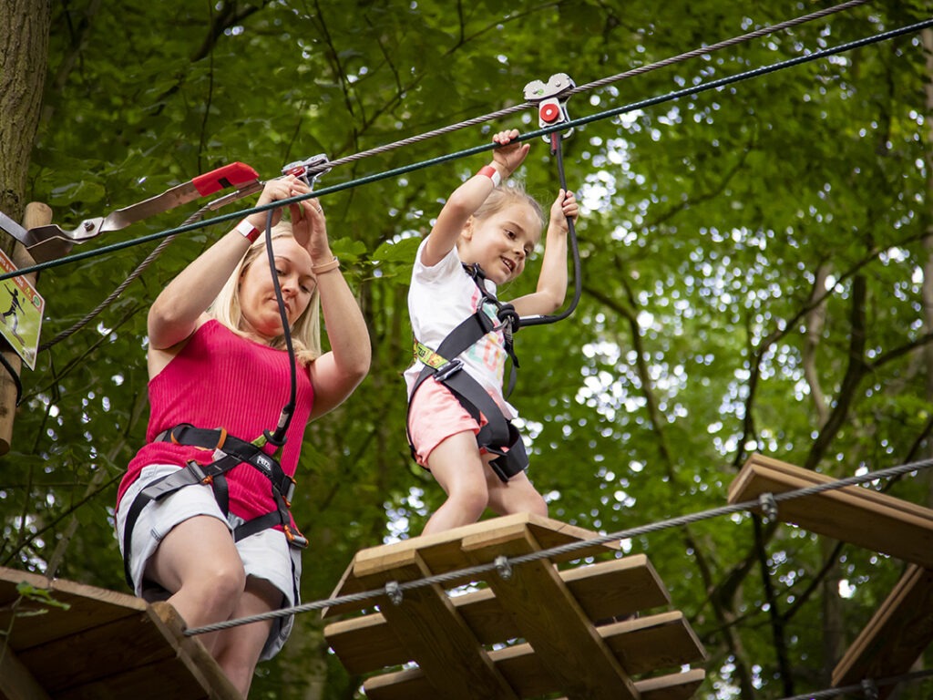 Normanby Hall Go Ape