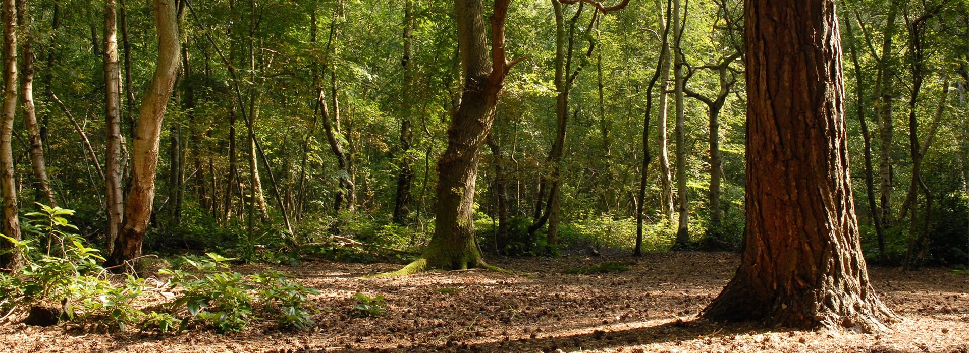 Woodhall Spa Tourist Information Centre Visit Lincolnshire