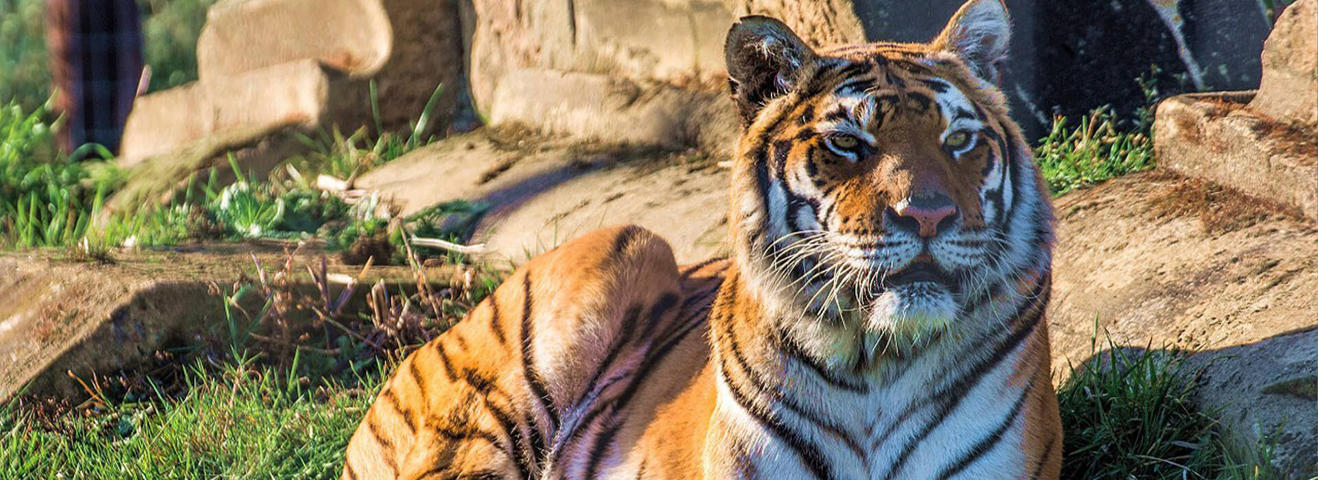 Woodside Wildlife Park - Visit Lincolnshire Woodside Wildlife Park - Visit Lincolnshire