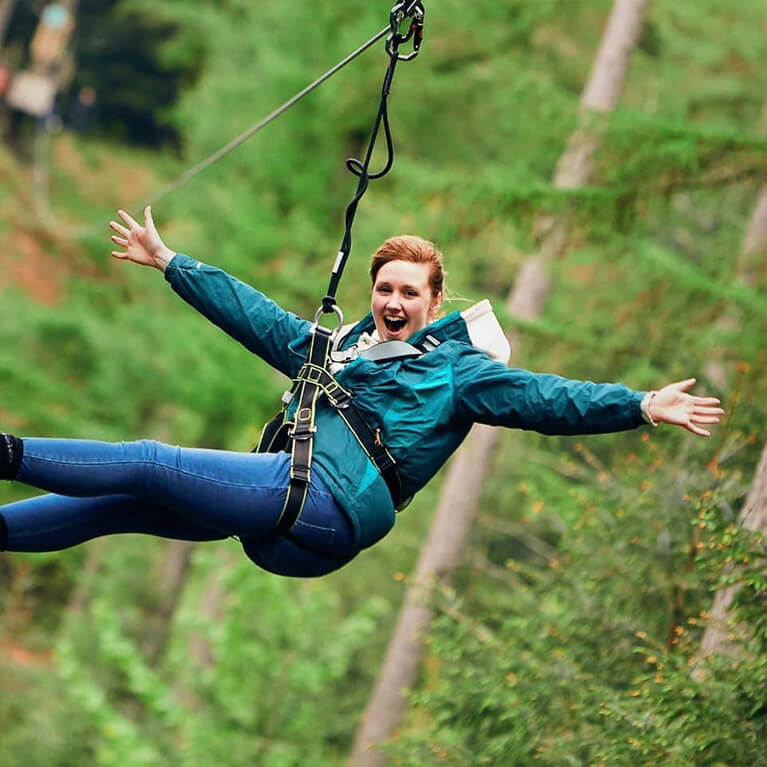 Normanby Hall Go Ape Tree Top Challenge