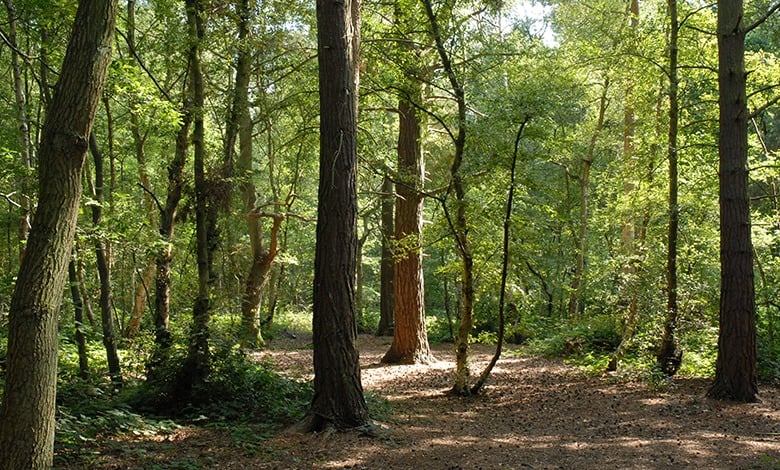 Spa Trail Spa Trail