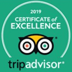 tripadvisor 2019 Certificate of Excellence