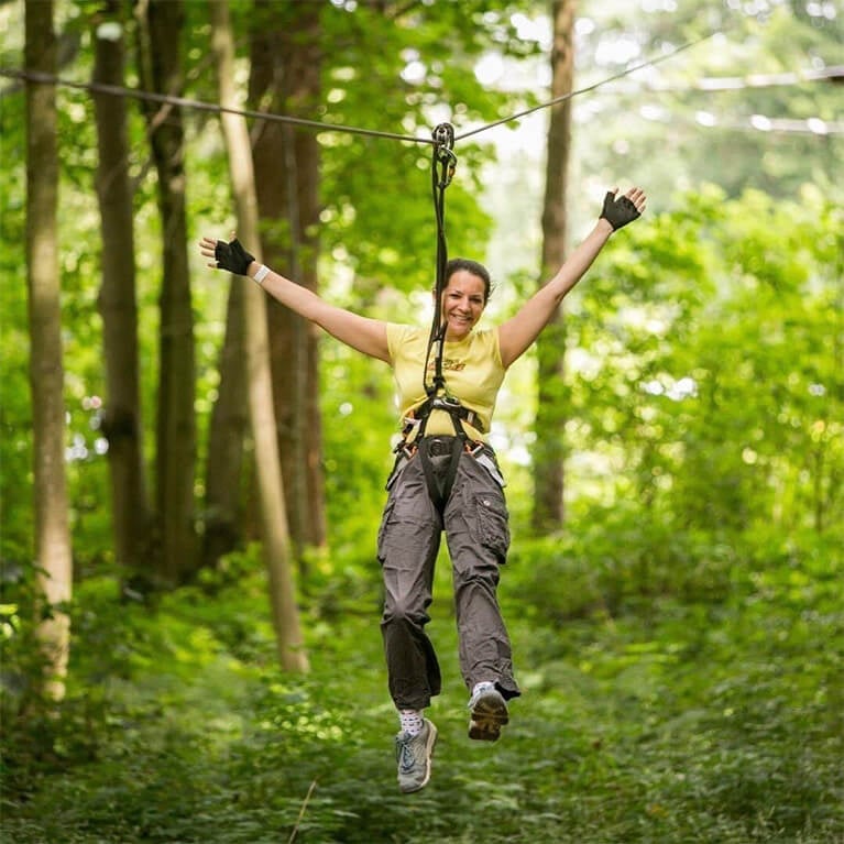 Normanby Hall Go Ape Tree Top Challenge