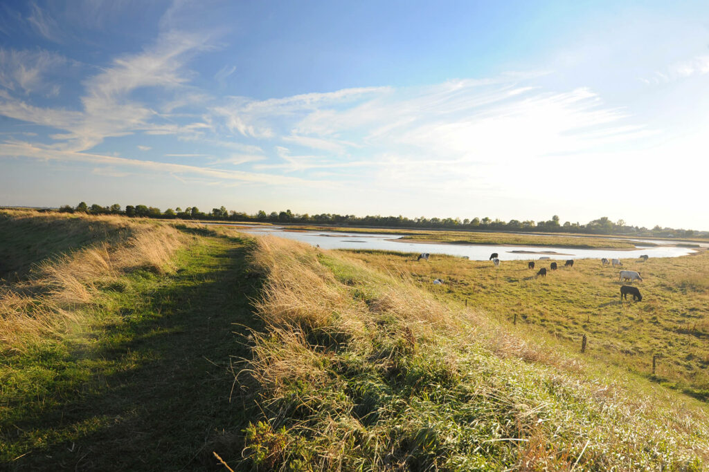 Freiston Shore