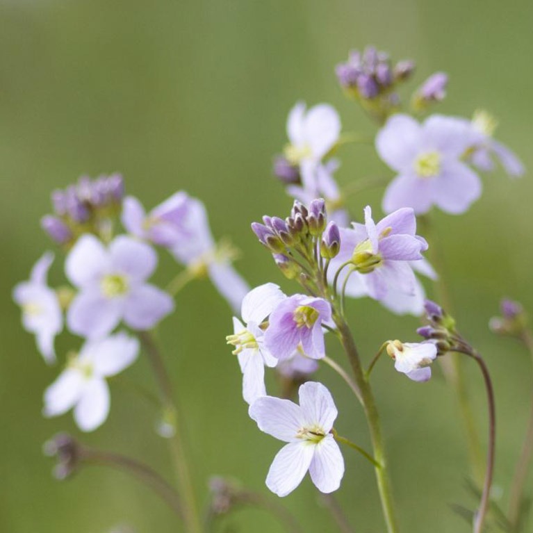 Snipe Dales Country Park - Visit Lincolnshire
