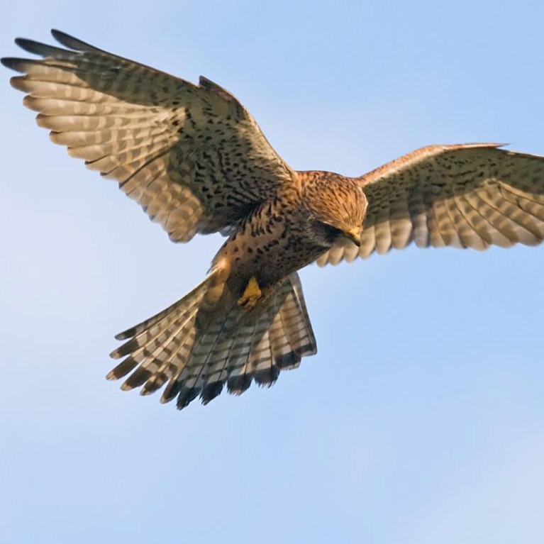 Snipe Dales Country Park - Visit Lincolnshire