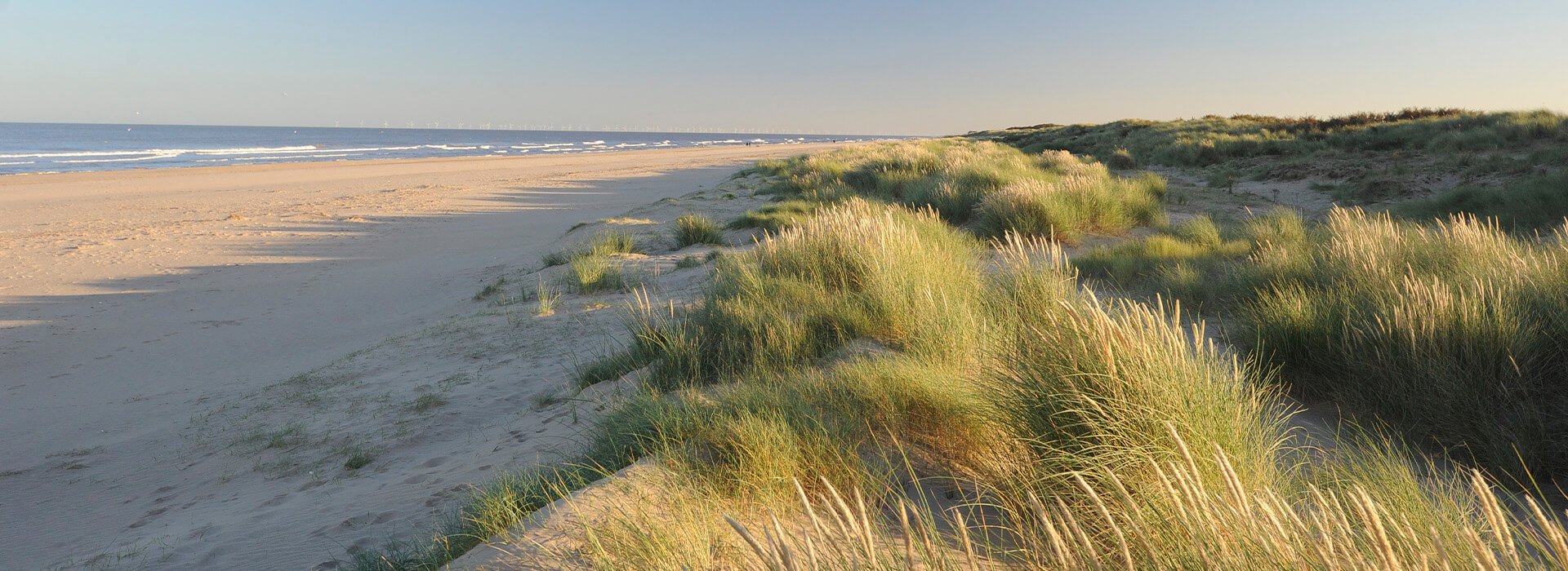 Saltfleetby Theddlethorpe Dunes Visit Lincolnshire