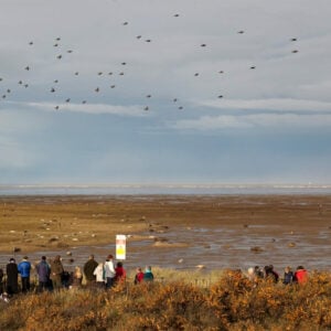 Donna Nook photographed by Rachel Shaw