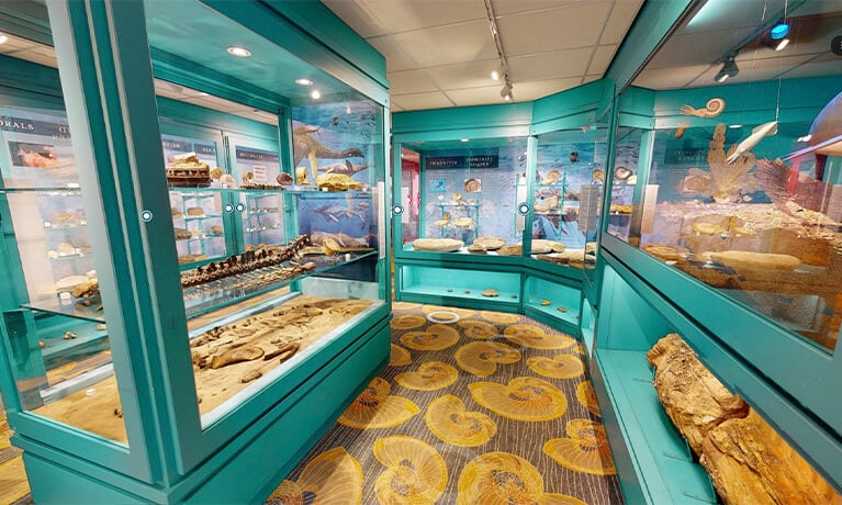 North Lincolnshire Museum Virtual Tour North Lincolnshire Museum Virtual Tour