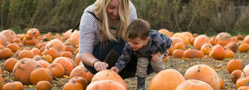 Doddington Hall Pumpkins Doddington Hall Pumpkins