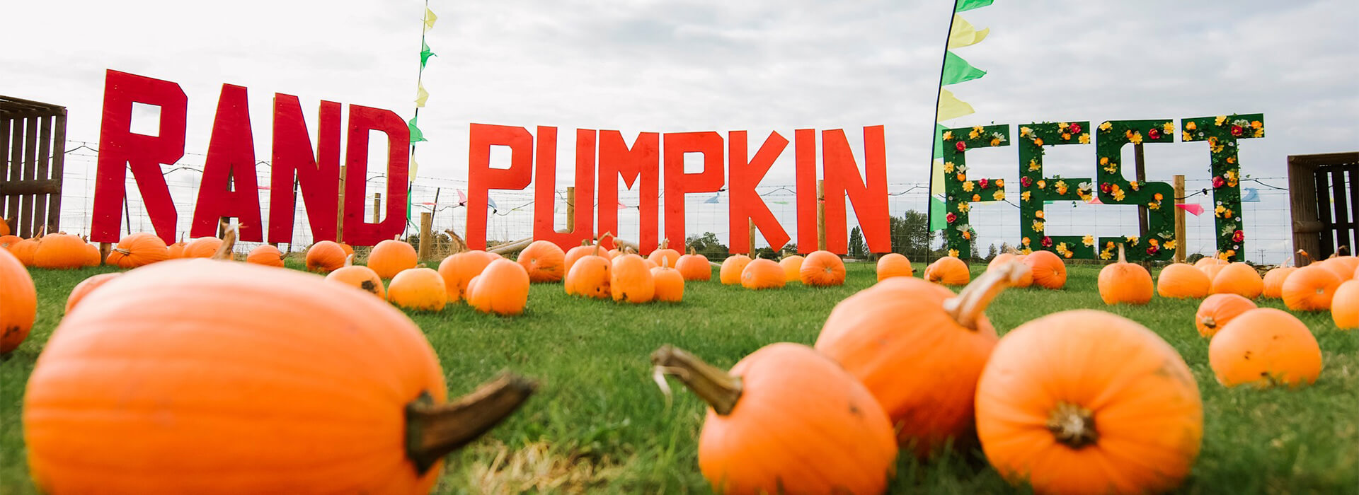 Rand Farm Pumpkin Festival Visit Lincolnshire