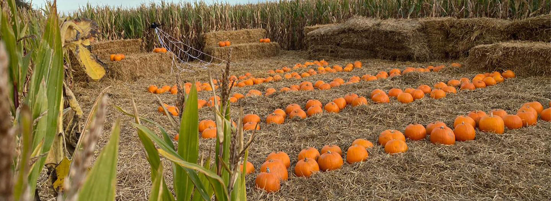 Halloween at Uncle Henry’s Visit Lincolnshire
