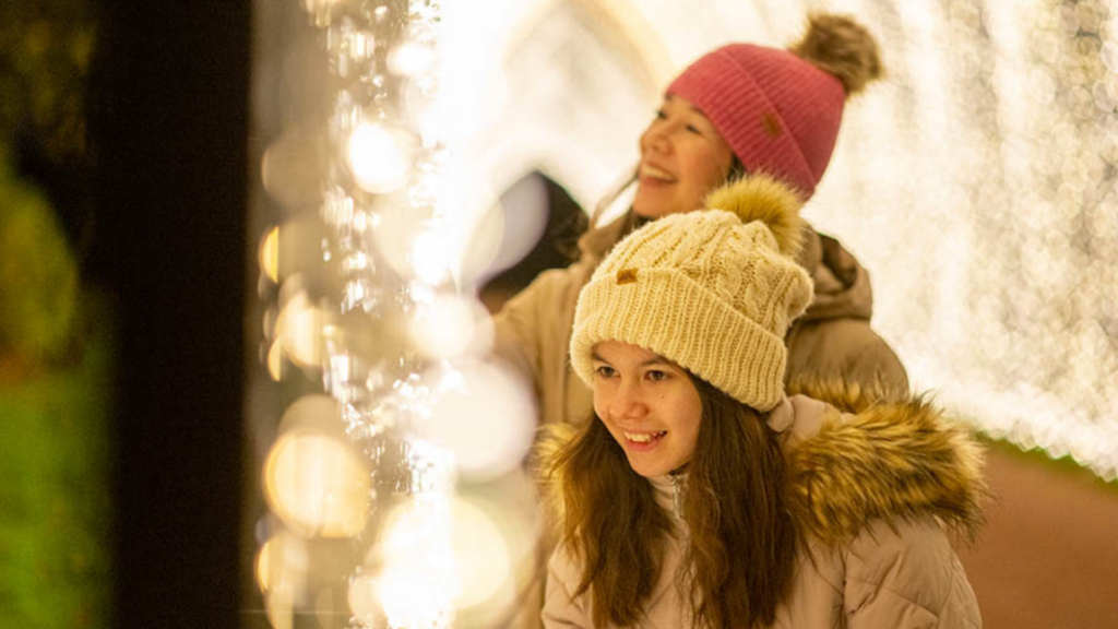 Christmas at Belton - Two people looking at the lights at the Christmas Cathedral