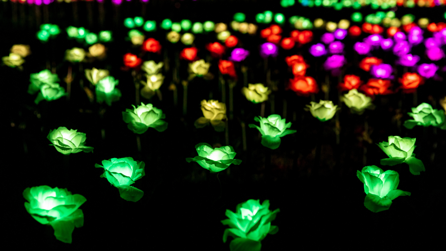 Win a family ticket to Christmas at Belton Visit Lincolnshire