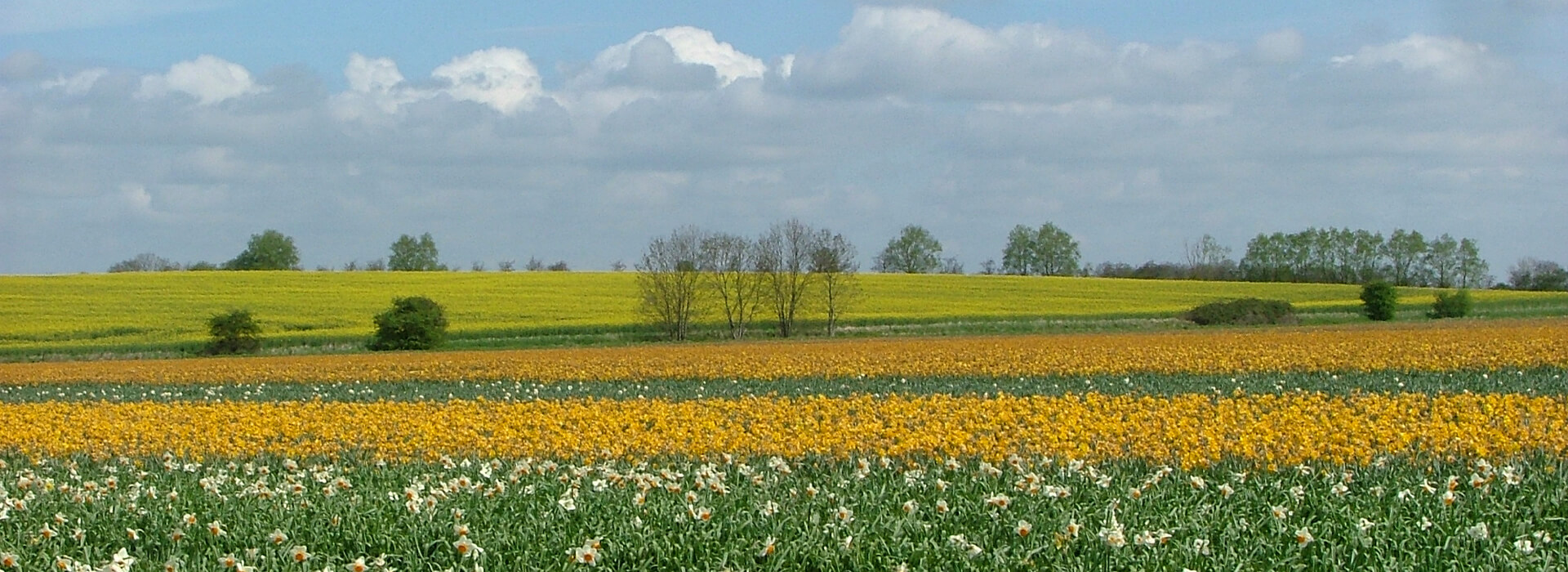 Metheringham Long - Visit Lincolnshire
