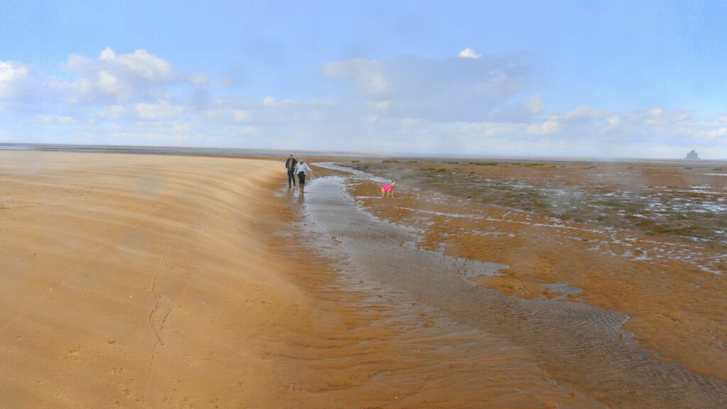 A wide landscape picture of the Lincolnshire coast, sand, sea and sky. Small in the middle are two people walking their dog in a pink jacket.