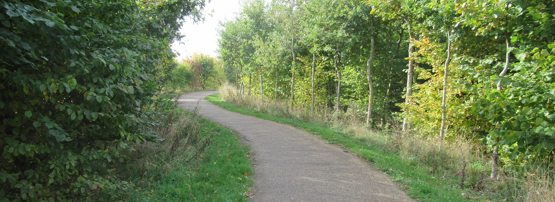 Wyberton Fen