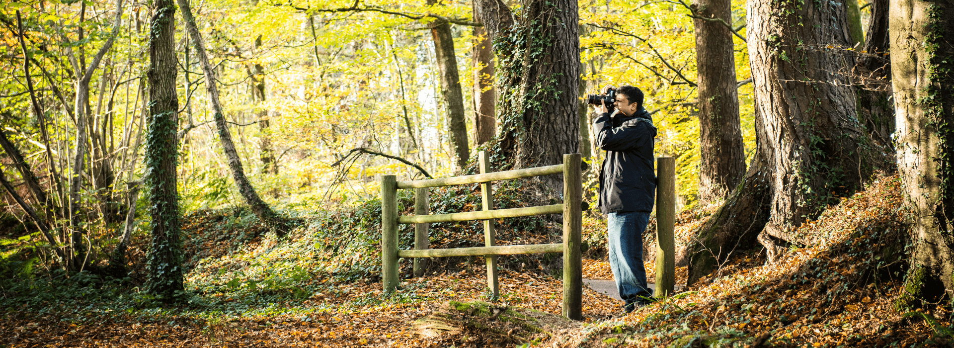 Londonthorpe Woods Visit Lincolnshire