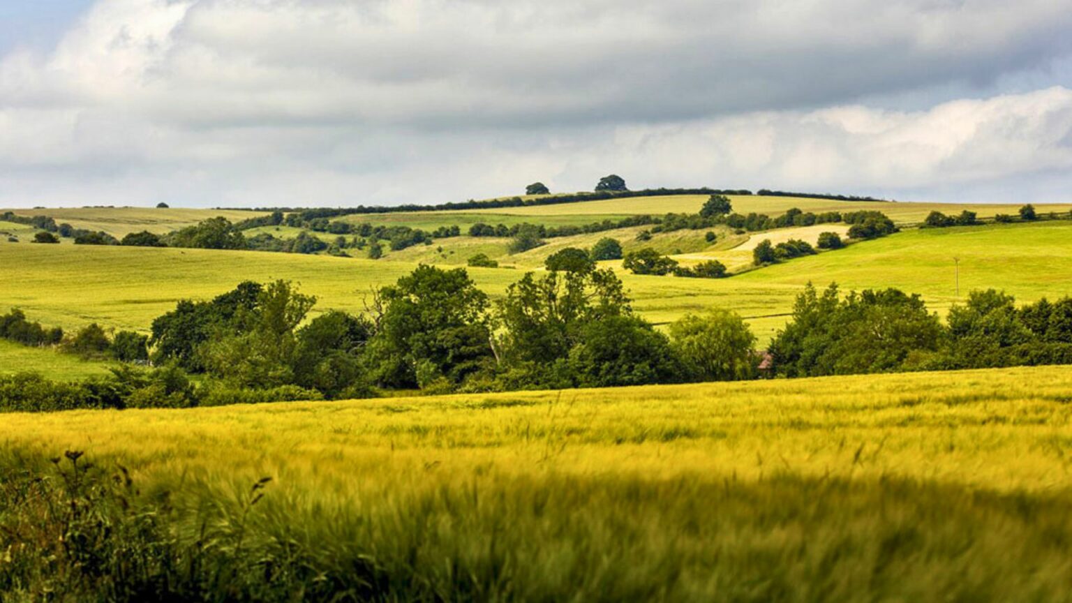 Lincolnshire Wolds Celebrates the BIG 50 Visit Lincolnshire