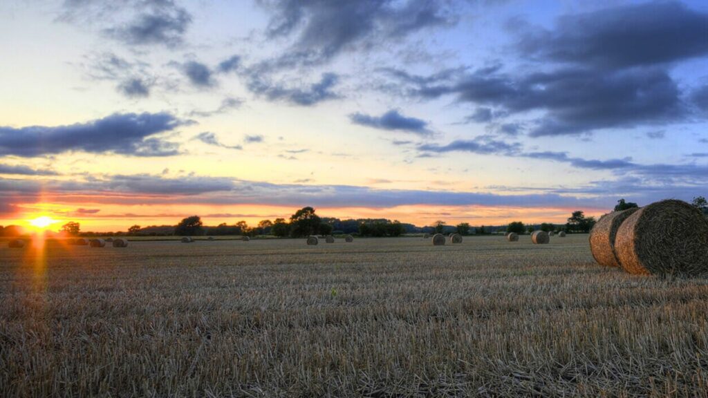 Lincolnshire Wolds ANOB 50th anniversary