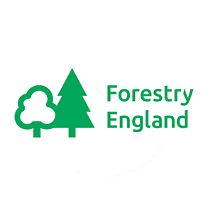 Forestry England