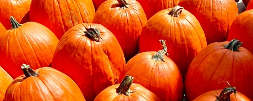 Pumpkins