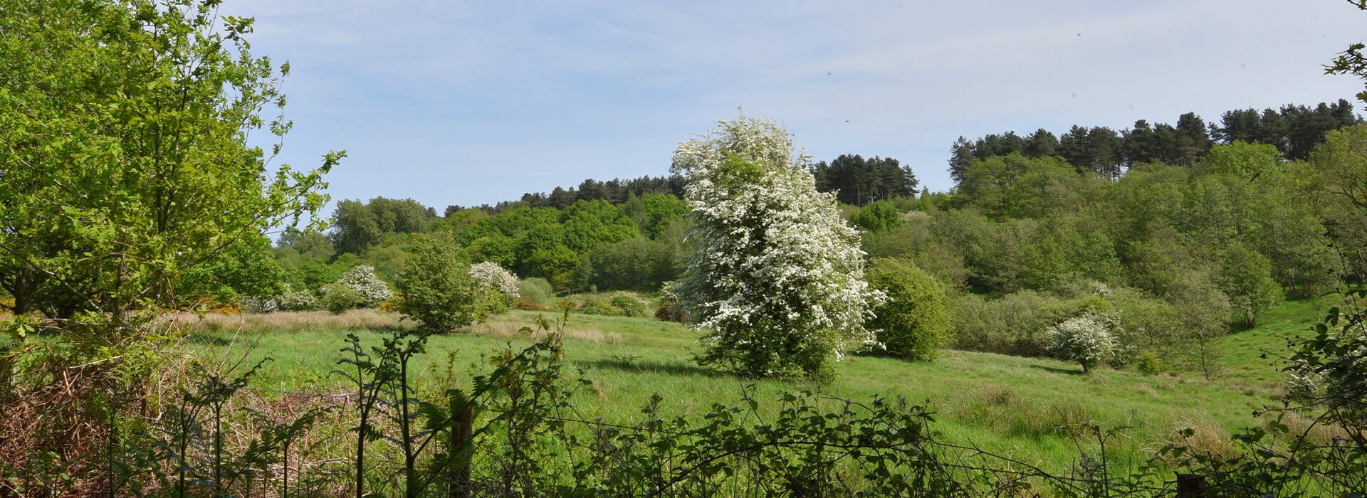 Snipe Dales Birdwatching - Visit Lincolnshire