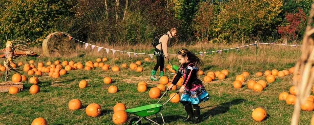 Halloween Pumpkin Patches in Lincolnshire