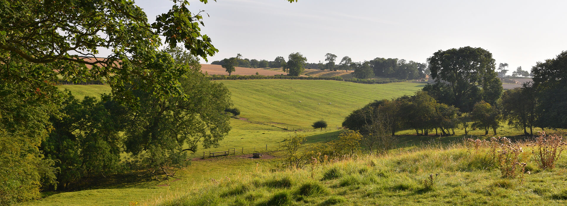 East Thorganby, Beesby and East Ravendale Horse Ride - Visit Lincolnshire