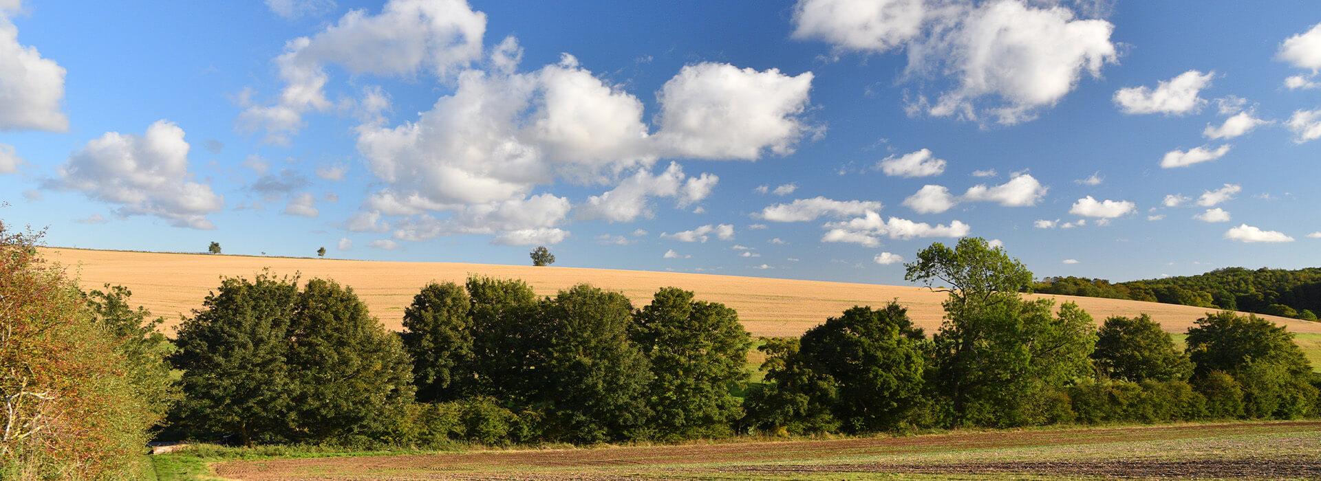 West Thorganby, West-East Ravendale and Wold Newton Horse Ride - Visit ...