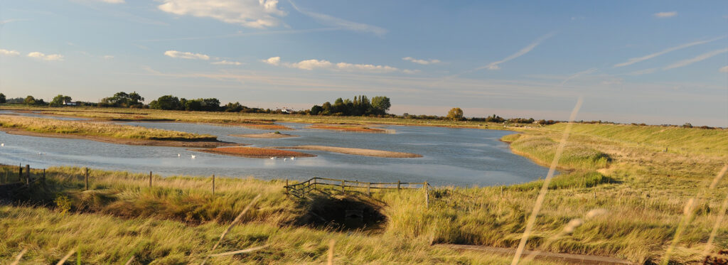 Freiston Shore Freiston Shore