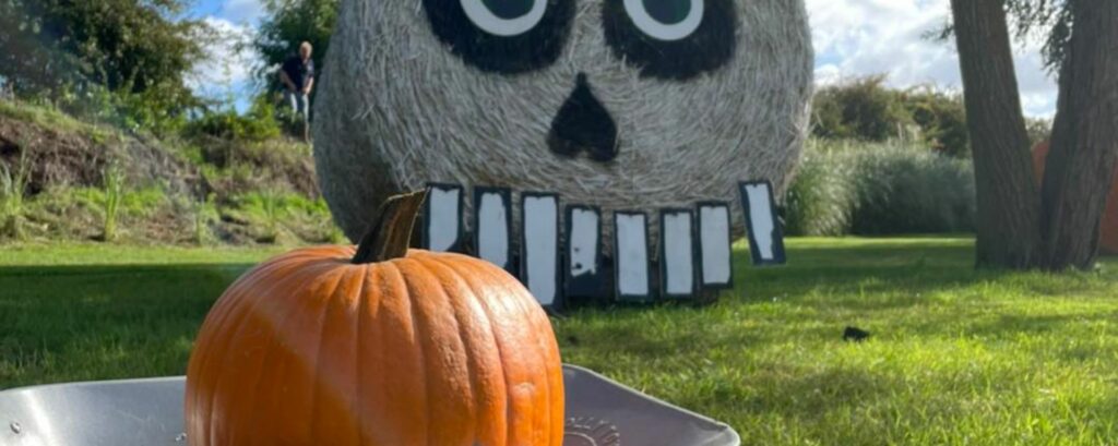 Tattershall Park Farm PYO Pumpkins Halloween in Lincolnshire