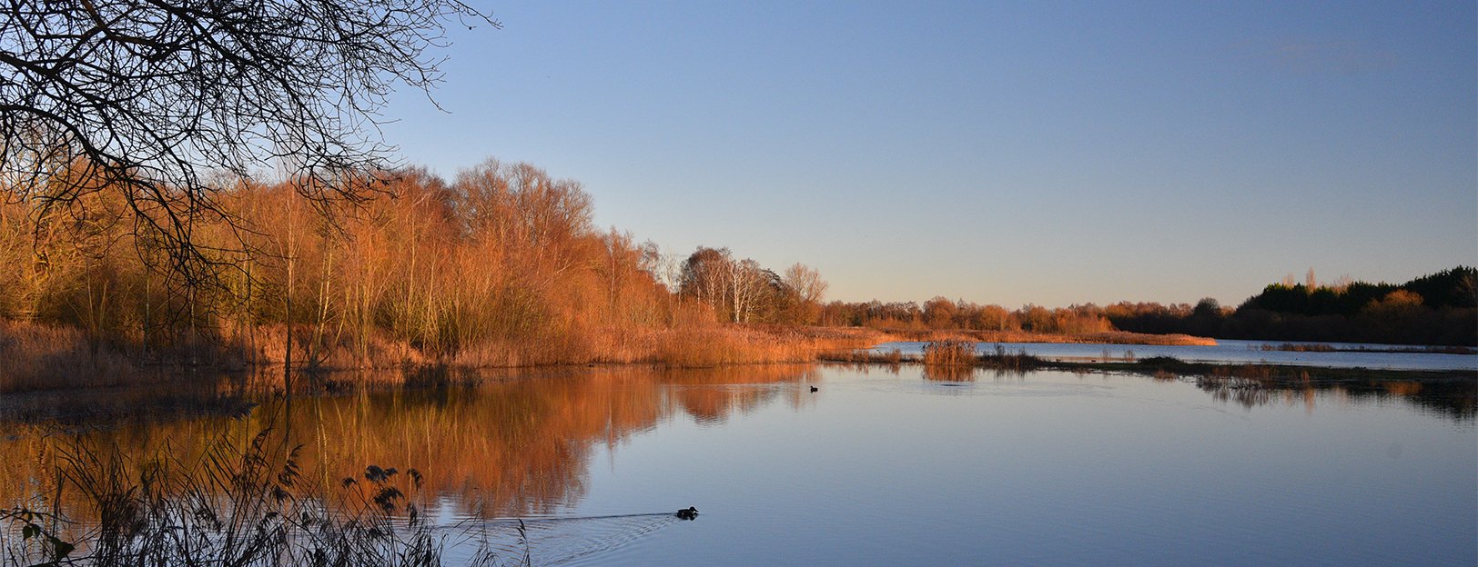 Whisby Nature Reserve Whisby Nature Reserve