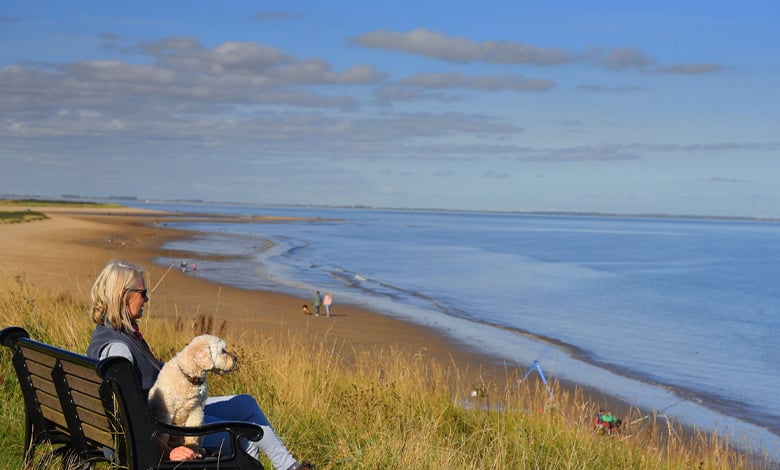 Fitties Beach Fitties Beach
