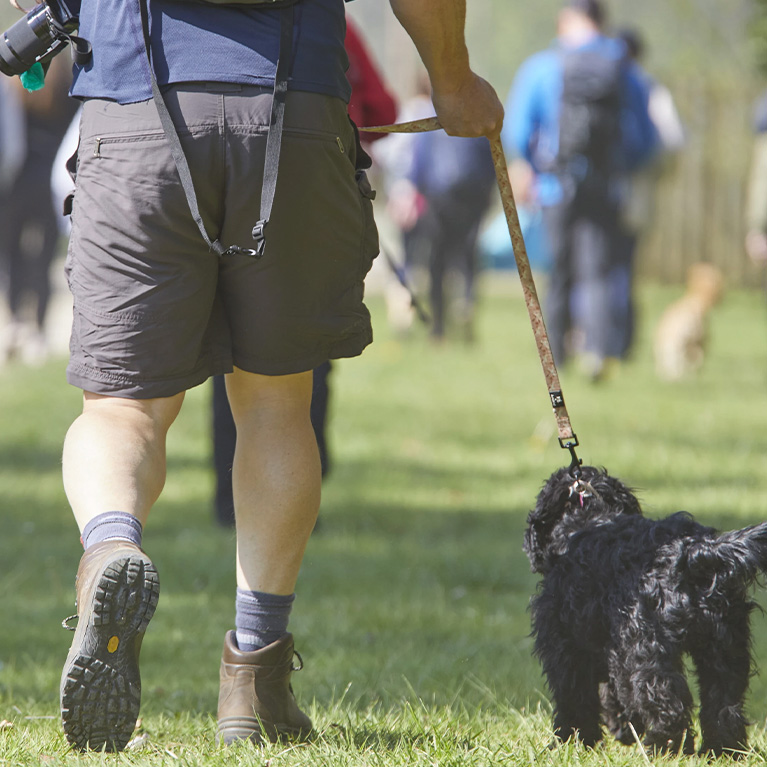 Lincolnshire Wolds Outdoor Festival