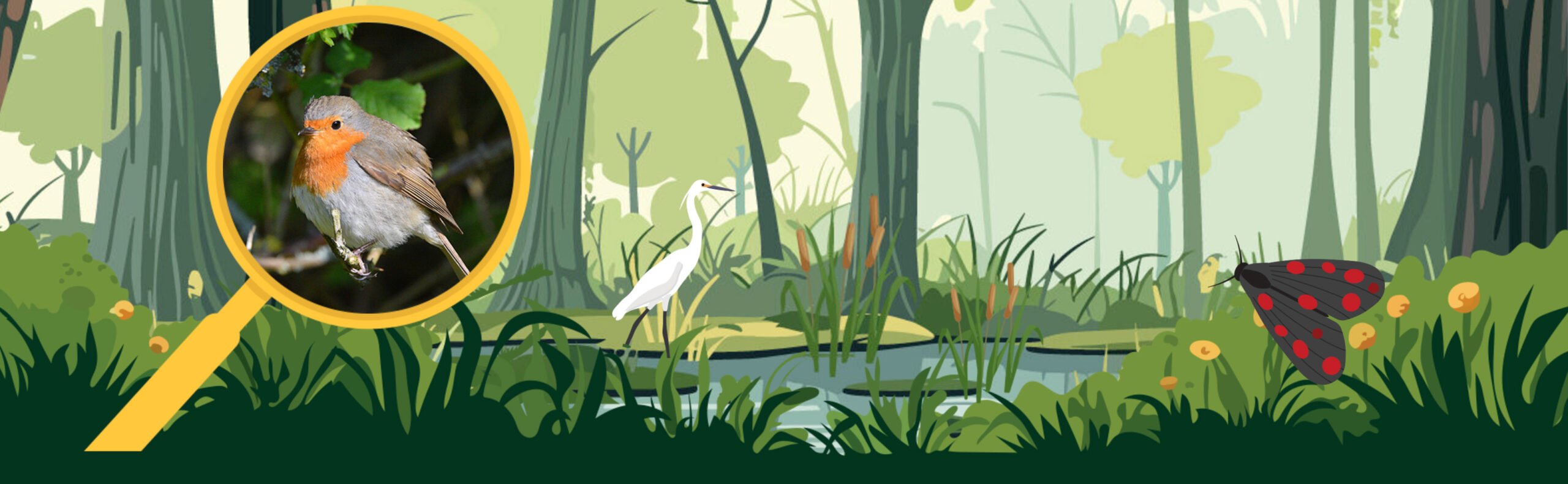 nature notes for children nature notes for children
