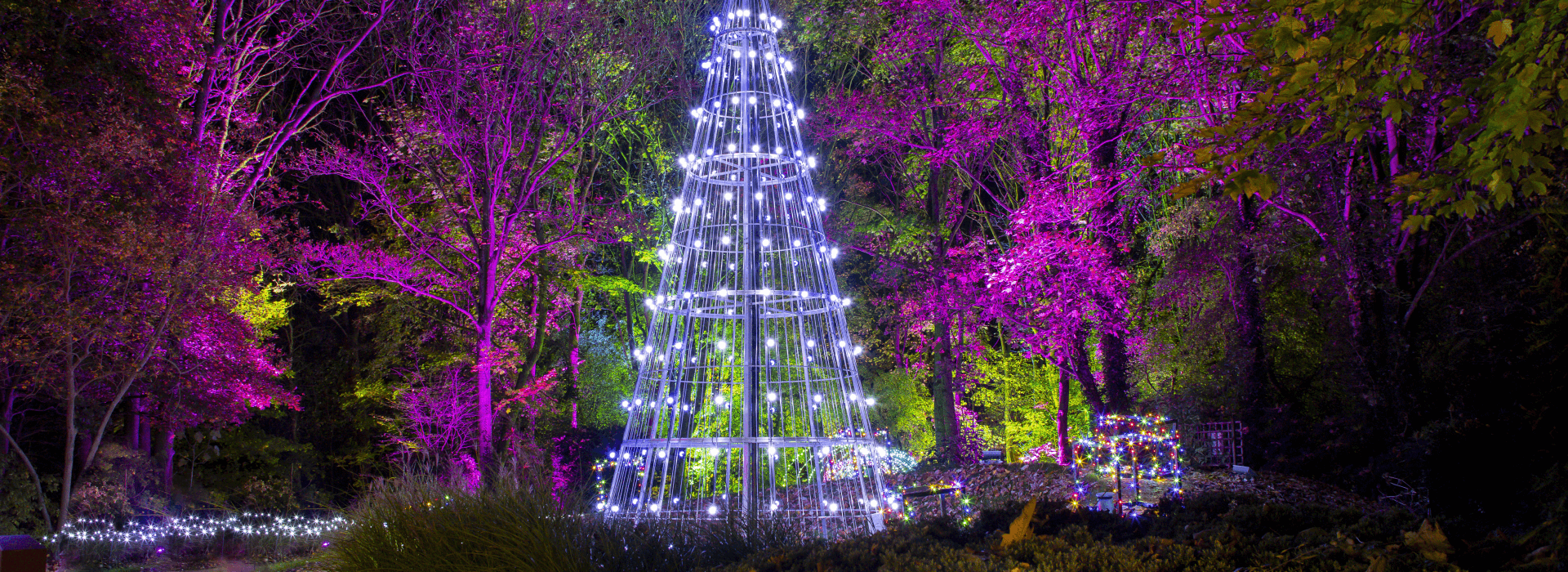 Christmas Winter Wonderland Walk Springfields - Visit Lincolnshire