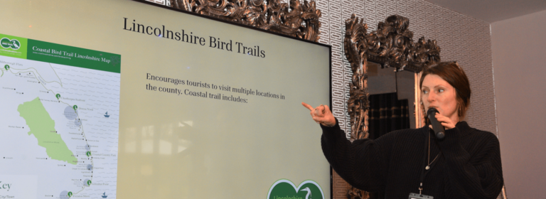 Lucy Lapwing blog header