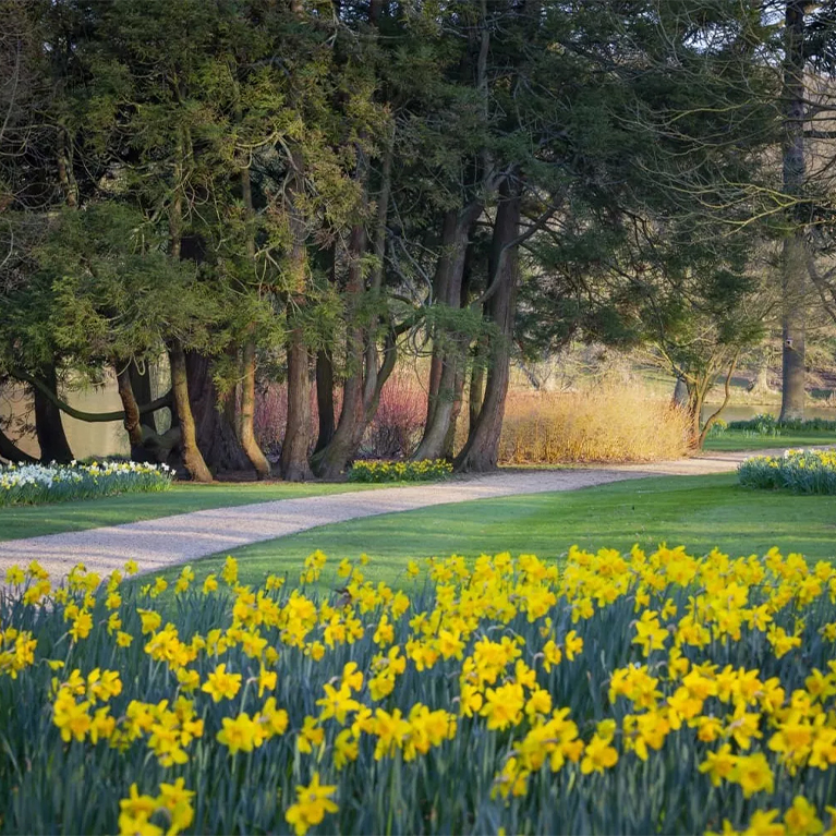 Burghley house South Gardens in Spring Event