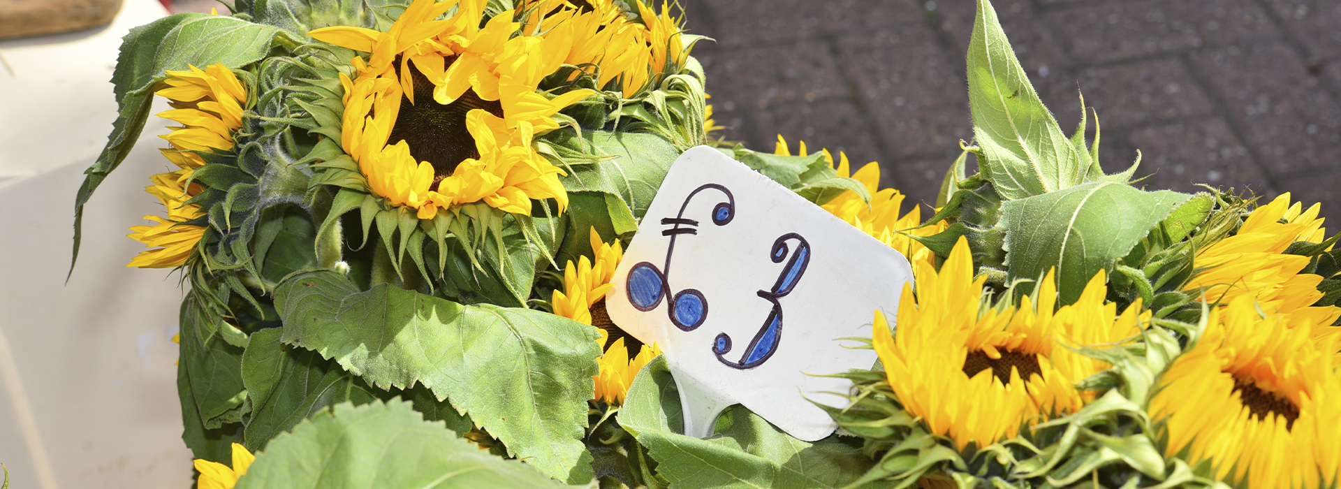 Sunflowers at the market Sunflowers at the market