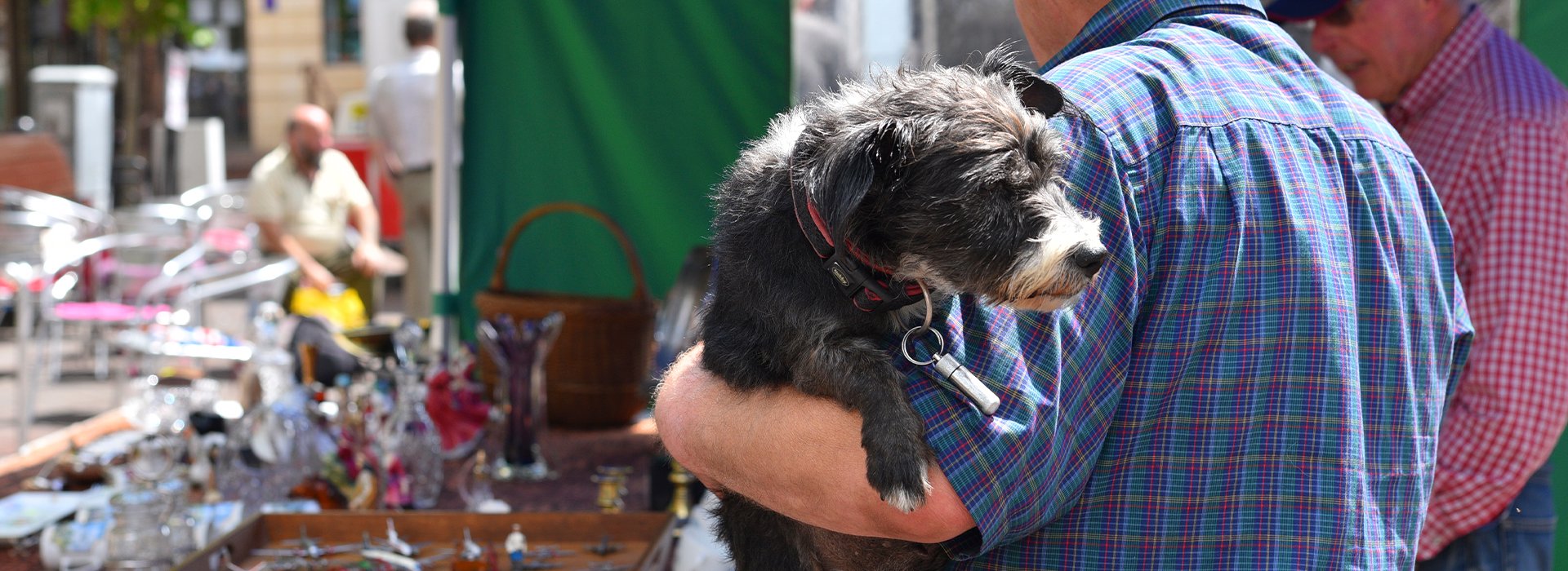 Dog and owner at the market Dog and owner at the market