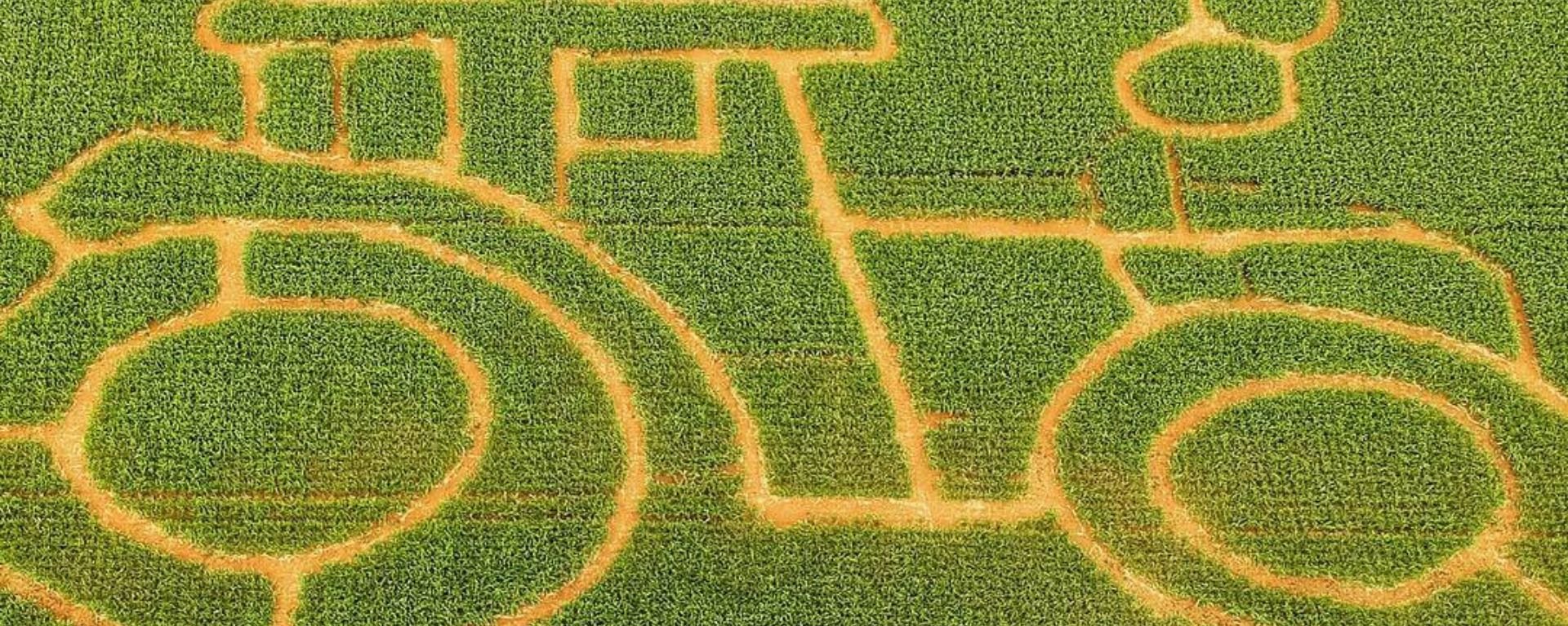 Uncle Henry's Maize Maze Uncle Henry's Maize Maze
