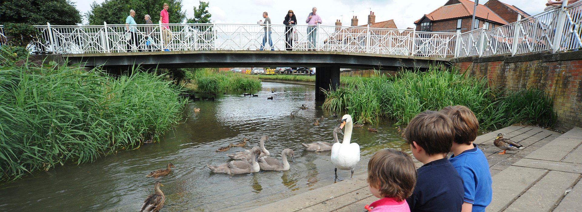River Bain, Horncastle River Bain, Horncastle