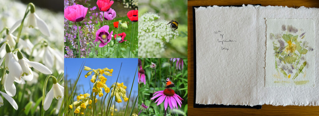 Catkin Workshop Experience Blog Header Catkin Workshop Experience Blog Header