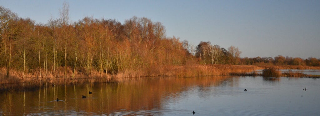 Whisby Nature Park