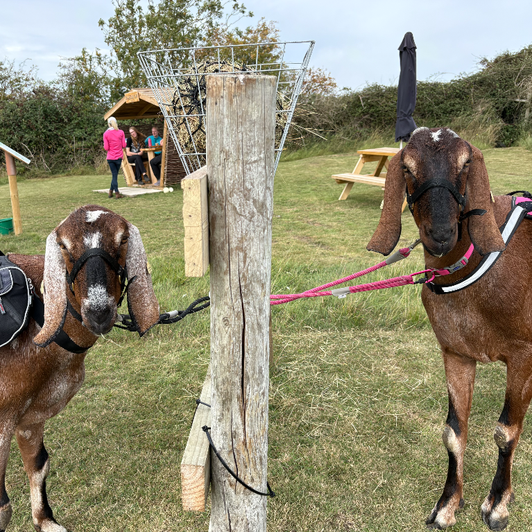 trek-a-goat leonard trek-a-goat leonard