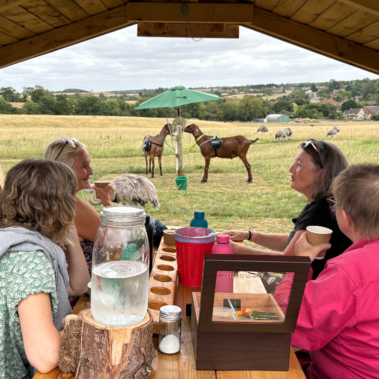 trek-a-goat picnic trek-a-goat picnic