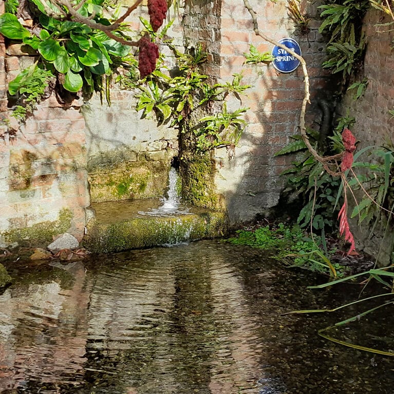 Syfer Spring Syfer Spring