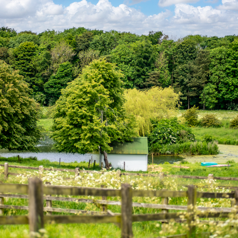 Thorganby Hall Little Walk Lake Thorganby Hall Little Walk Lake